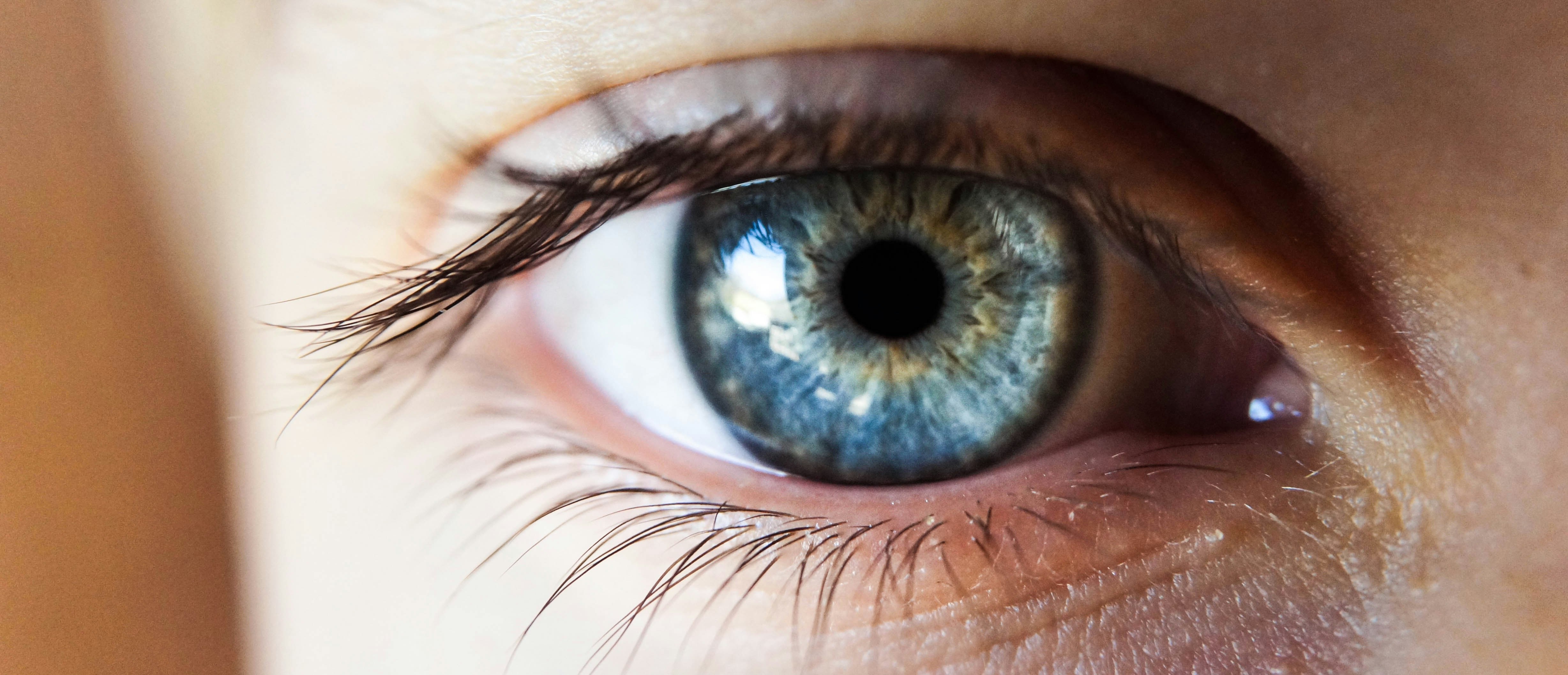 Primer plano de un ojo de color azul.