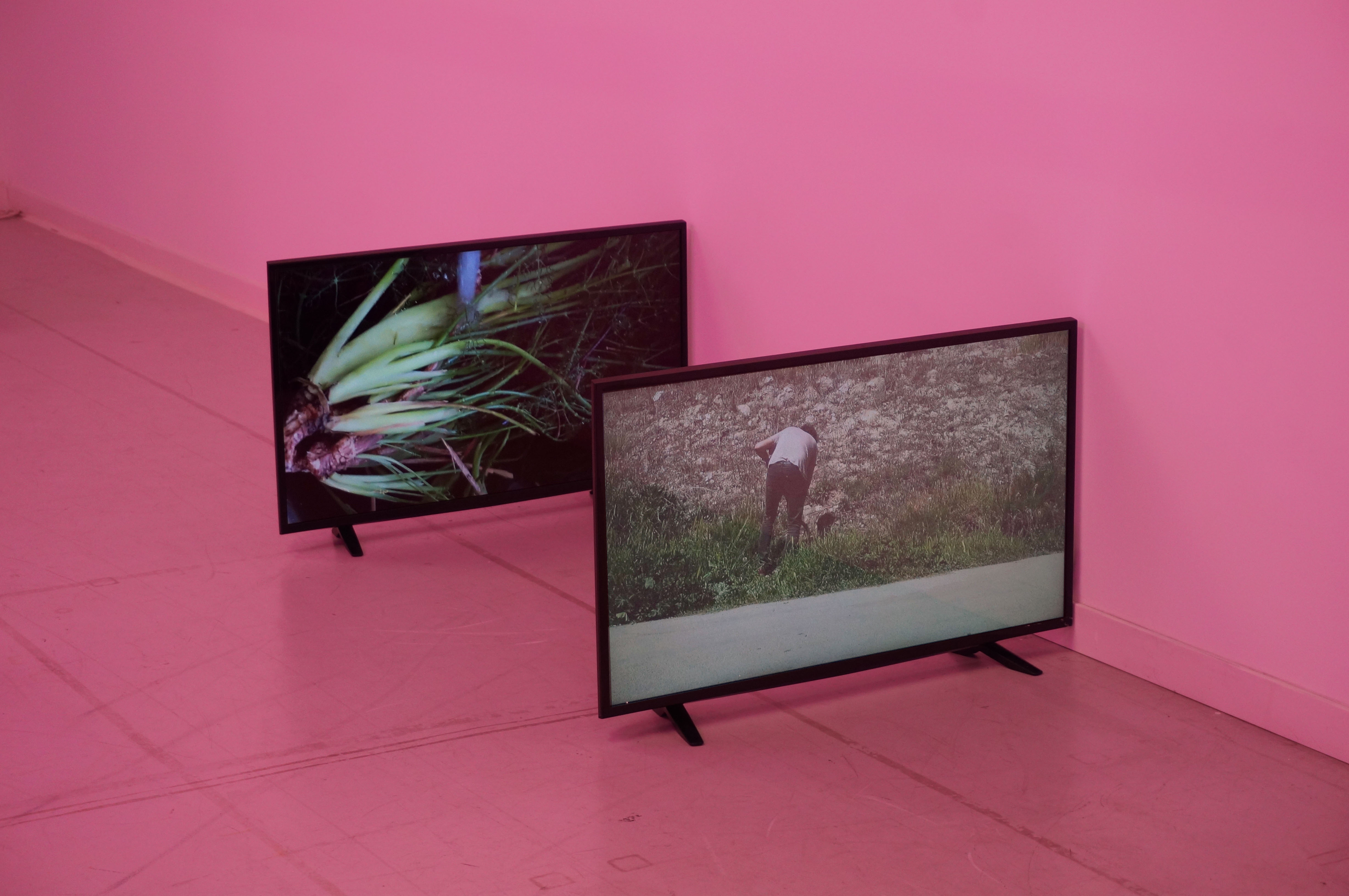 Imagen: Un helado sabor sendero (2023), Fermín Jiménez Landa.