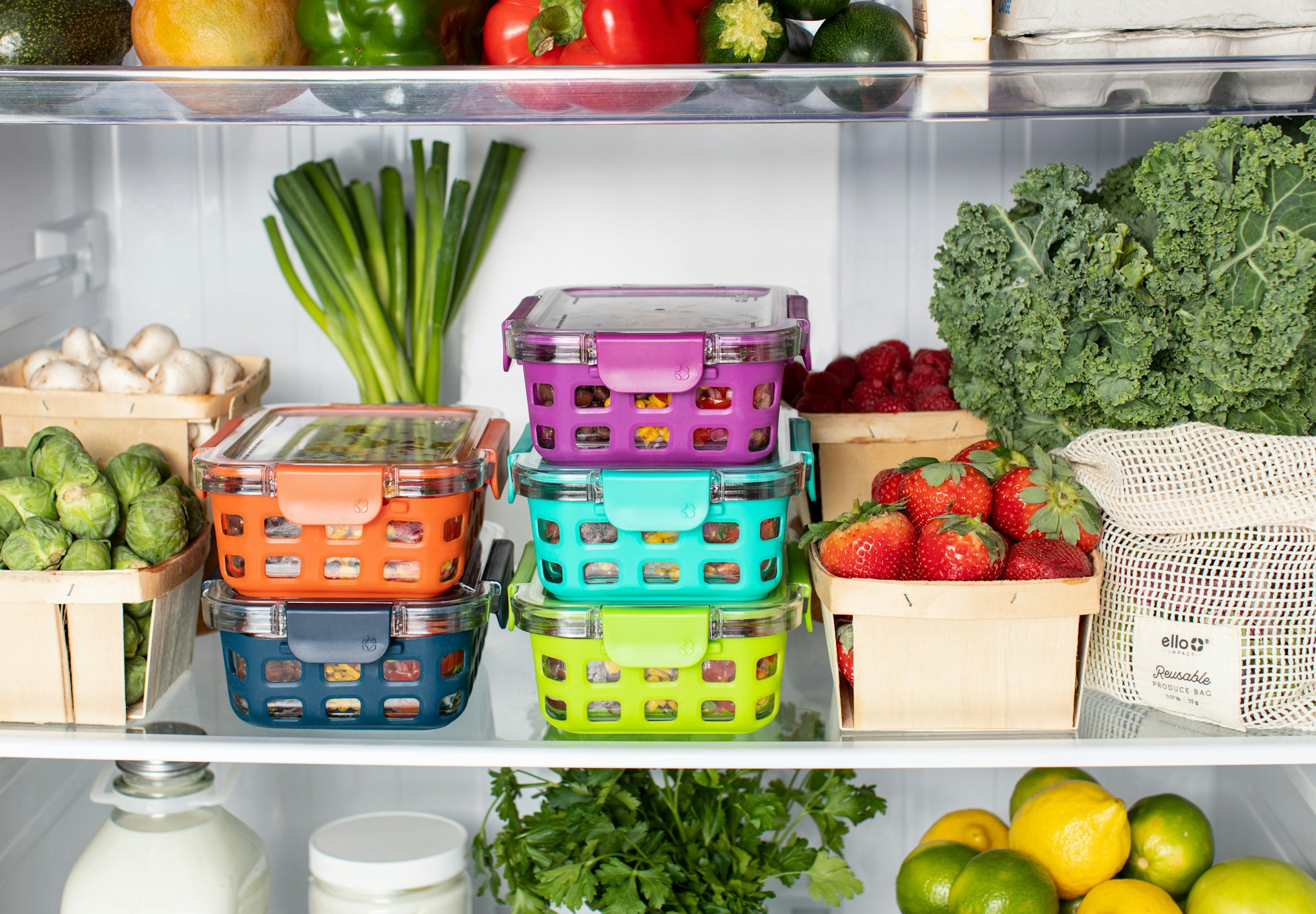 conservación alimentos