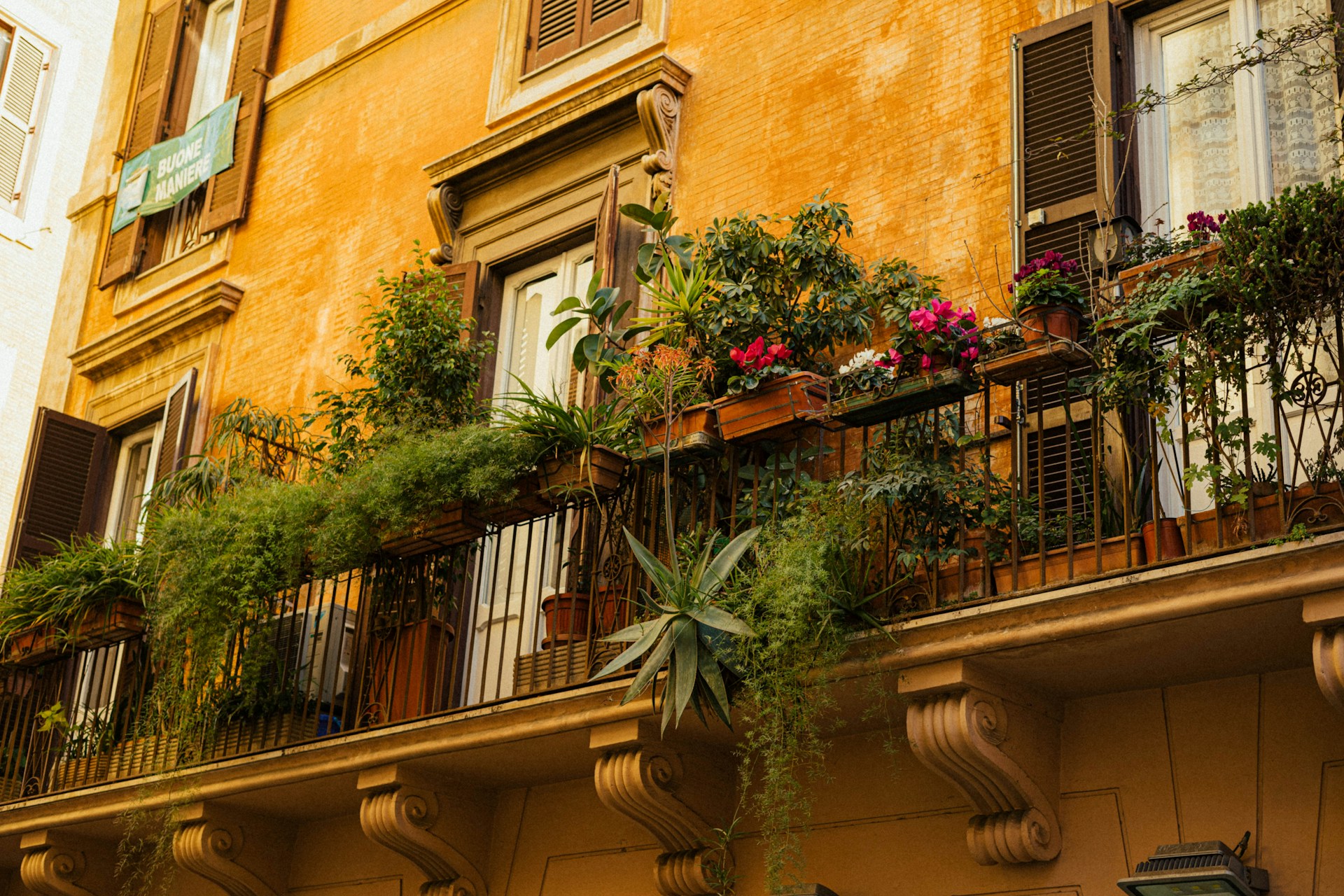 jardinería balcones