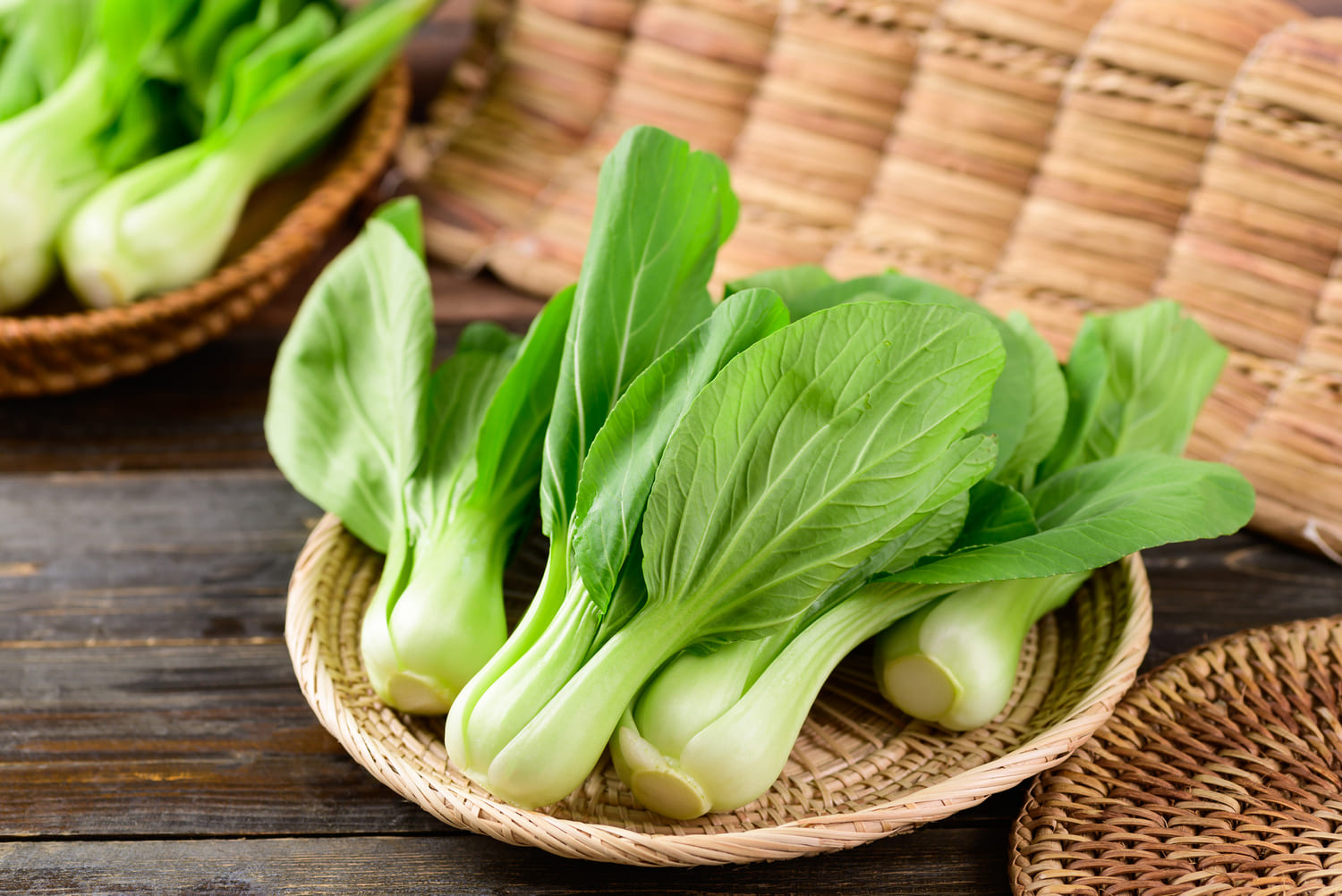 pak choi