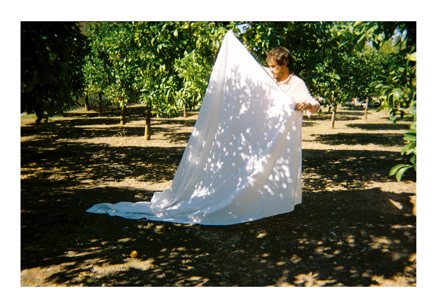Proceso creación Almuerzo Solar (2023), Fermín Jiménez Landa. 