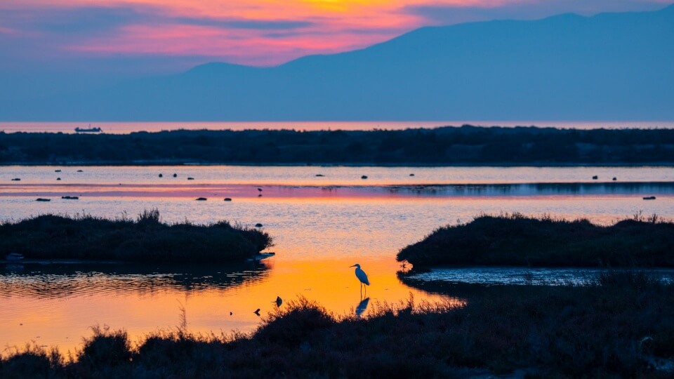 Humedales españoles en los que desconectar esta primavera