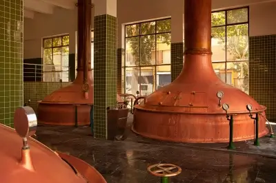 Descubre cómo se elabora la cerveza sin alcohol, sus ingredientes, métodos como la fermentación controlada u ósmosis, y cómo mantiene su sabor auténtico.