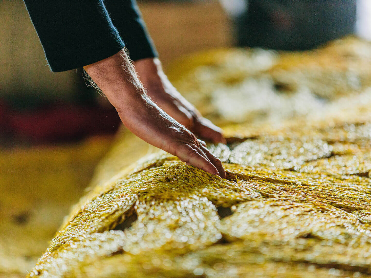 Creación de Autor - Cervezas Alhambra